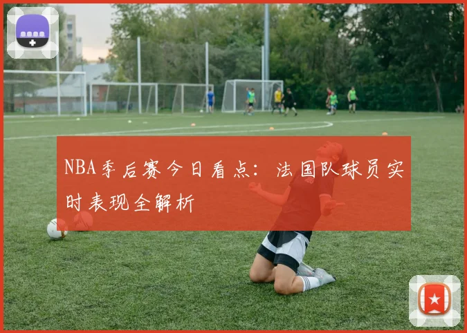 NBA季后赛今日看点：法国队球员实时表现全解析