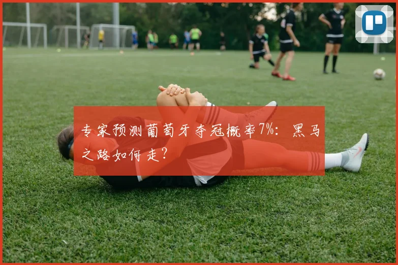 专家预测葡萄牙夺冠概率7%：黑马之路如何走？